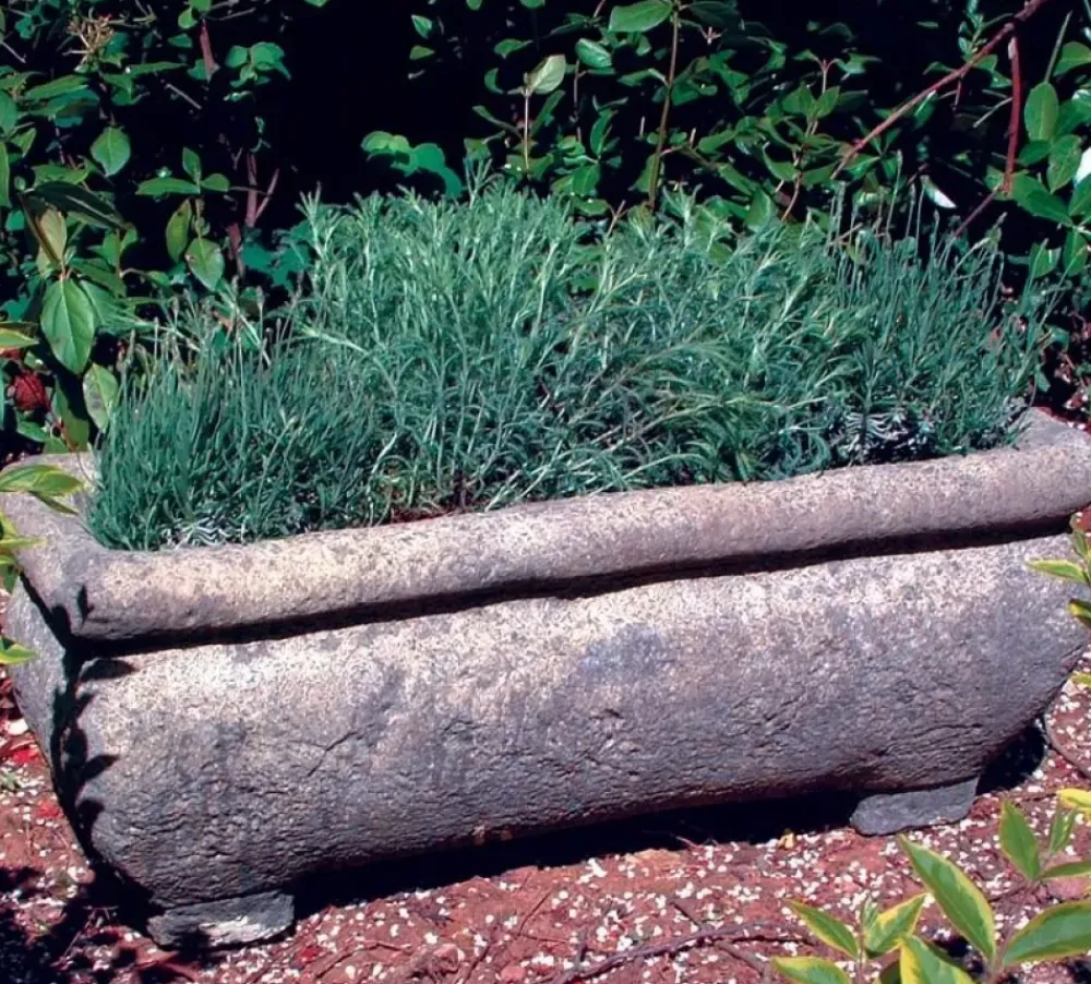 Troughs^Statues & Sculptures Continental Plant Trough 33cm Stone Garden Planter