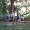 Stags & Deers^Statues & Sculptures Extra Large Stag & Doe Deer Bronze Garden Statues