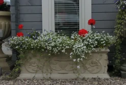 Troughs|Large^Statues & Sculptures Grand Athena Trough Stone Garden Planter