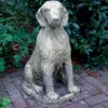 Dogs^Statues & Sculptures Irish Setter Stone Garden Statue