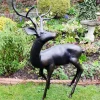 Stags & Deers^Statues & Sculptures Majestic Deer Bronze Metal Garden Statue