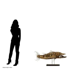 Table Top|Animals^Statues & Sculptures Razorfin Stainless Steel Indoor Sculpture