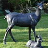 Stags & Deers^Statues & Sculptures Wild Doe & Fawn 103cm Bronze Metal Garden Statues
