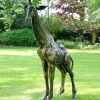 Wildlife|Modern^Statues & Sculptures Wild Giraffe 205cm Bronze Metal Garden Statue