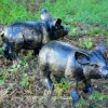 Farm^Statues & Sculptures Wild Piglets (Set of 2) Bronze Metal Garden Ornaments