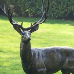 Stags & Deers^Statues & Sculptures Wild Stag & Doe Life-Size Bronze Garden Statues
