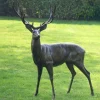 Stags & Deers^Statues & Sculptures Wild Stag Life-Size 148cm Bronze Metal Garden Statue